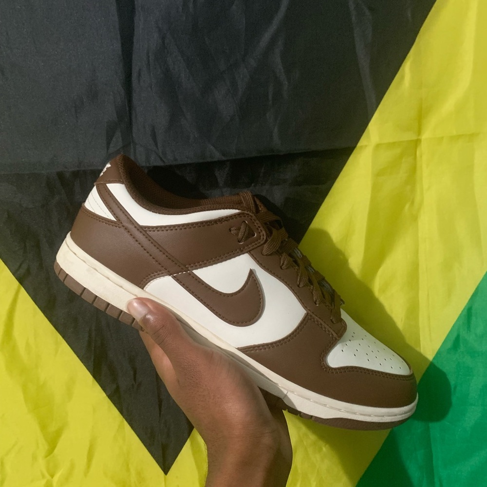 Nike Sail/Cacao Dunk